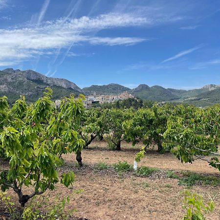 Appartamento Ca Blai De Brull En El Centro De Tivissa Esterno foto